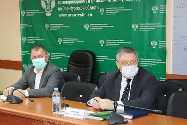 В Россельхознадзоре обсудили правоприменительную практику